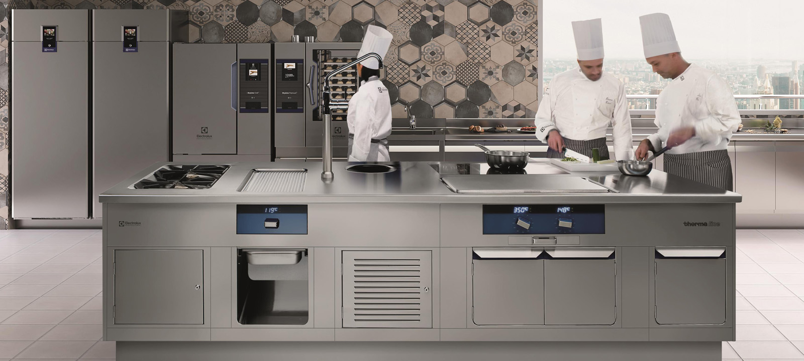 Electrolux Professional