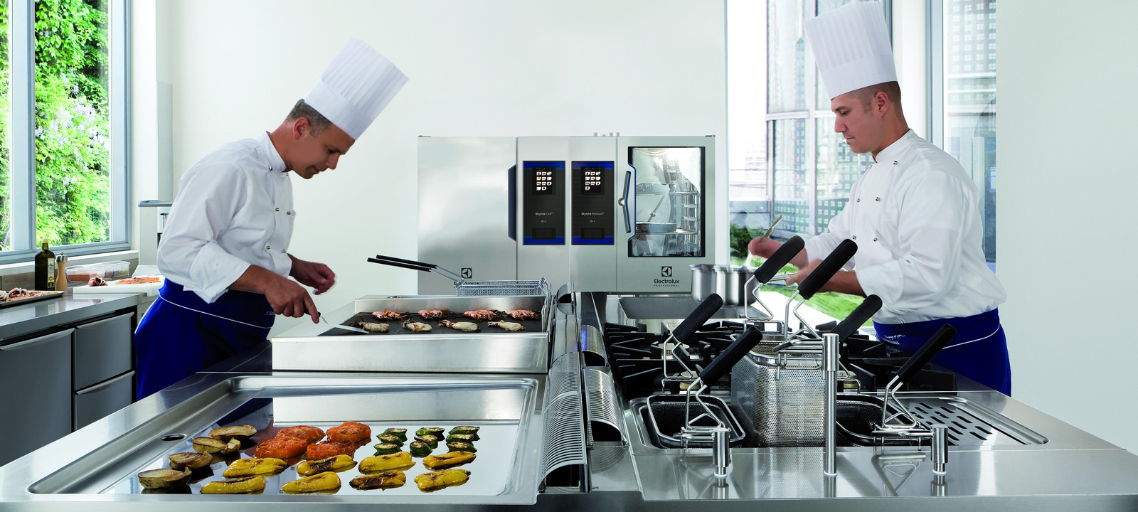 Electrolux Professional